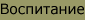 Воспитание котенка